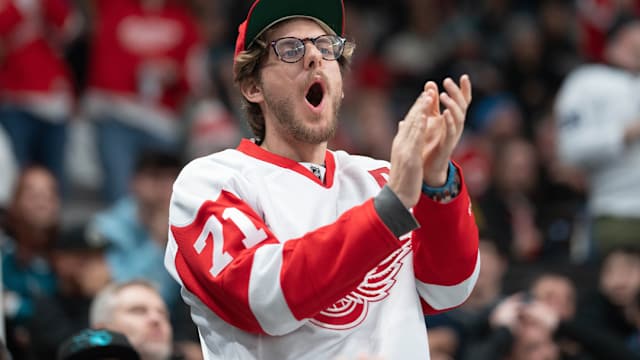 Detroit Red Wings fan